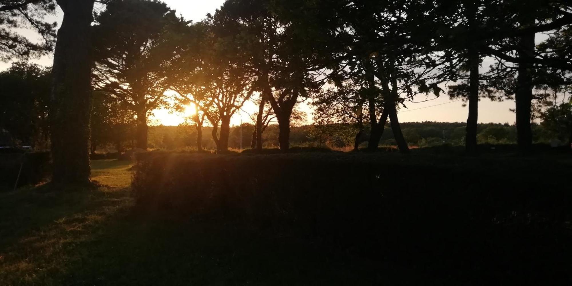 Camping Des Pierres Debout Névez Dış mekan fotoğraf